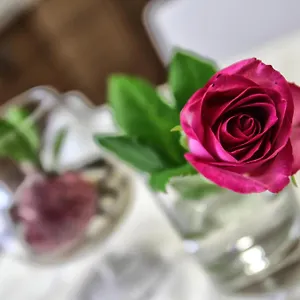 https://aleksandr.lecce-hotels.com